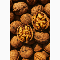 Куплю грецький горіх в шкоролупі