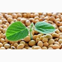 Купуємо сою по Вінницькій, Житомирській, Київській, Хмельницькій, Черкаській області