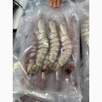 Special Offer - Frozen Bonito (Пеламида / Пиламида) Frozen on board, size 1 kg+, price 150