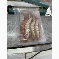 Special Offer - Frozen Bonito (Пеламида / Пиламида) Frozen on board, size 1 kg+, price 150