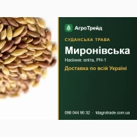 Сортове насіння суданської трави Миронівська