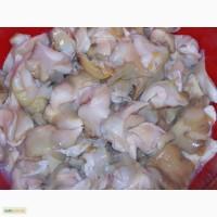 Продам мясо рапаны
