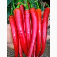 Продам перец красный острый