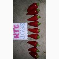 Продам перец красный острый