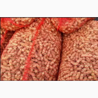 Продам оптом арахис!!Срочно!Качество проверено годами