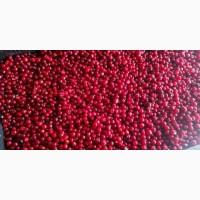 Продам замороженную клюкву уражай 2018 гола с доставкой по Украине