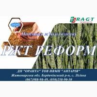 Насіння озимої пшениці РЖТ РЕФОРМ (СН, перша)