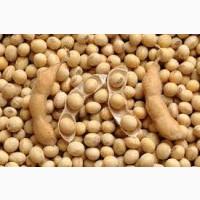 Купуємо сою некондицію