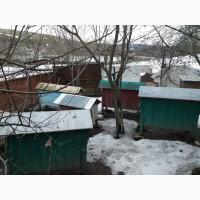 Продам пасіку. Бджоли. Вулики. Медогонку