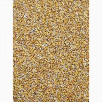 Кукурудза куплю