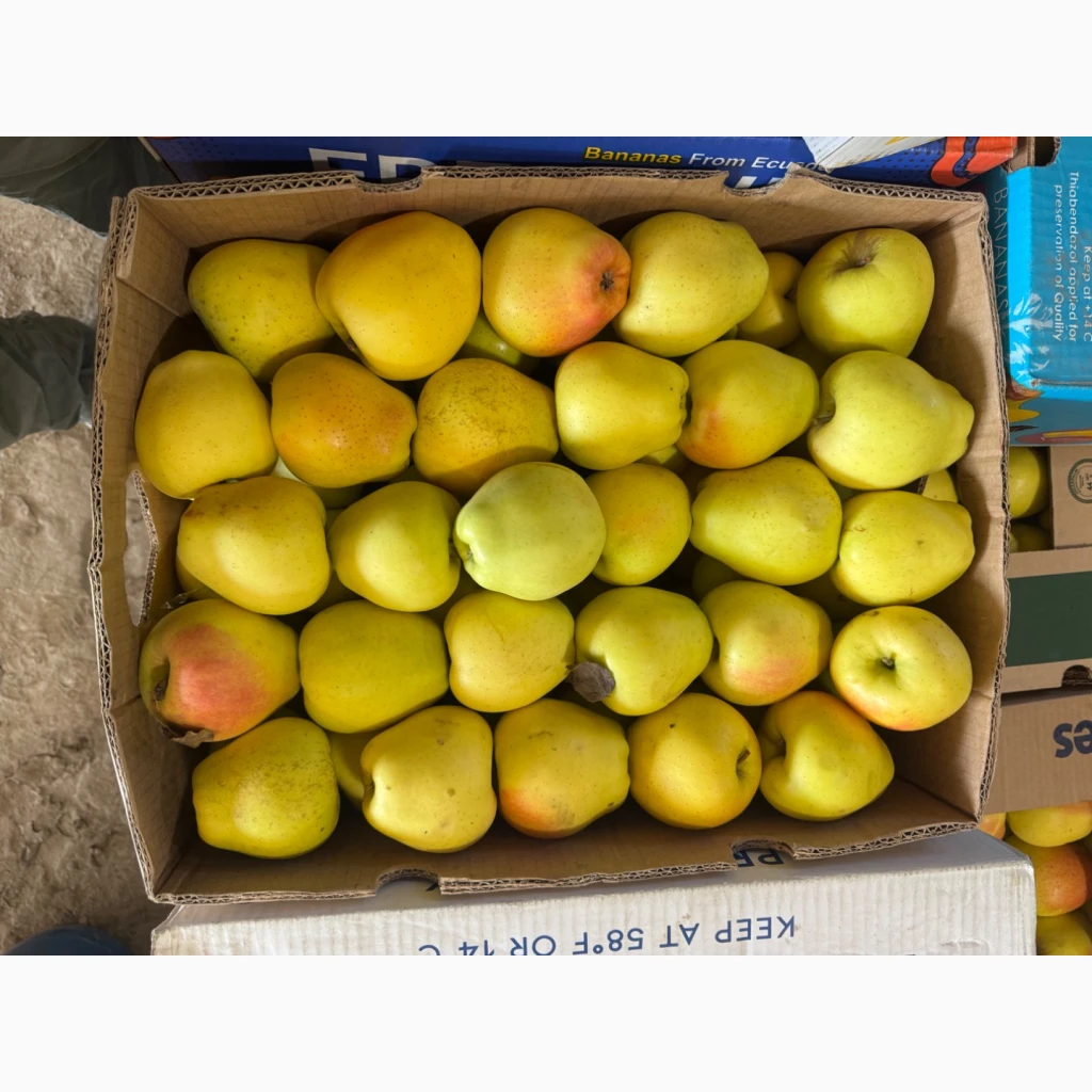 Фото 3. Продам яблука Екстра класу