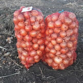 Продаж цибулі оптом, Вінницька область
