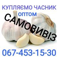 Куплю чеснок оптом. Заберём весь