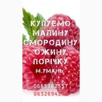 Купимо Малину