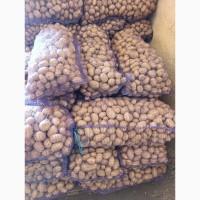 Продам картоплю