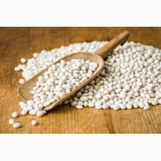 Закуповуємо білу квасолю на переробку