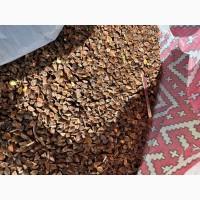 Підприємство купує гречиху багато років. По всій Україні. Самовивіз. Телефонуйте