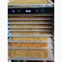 Пилок квітковий, пильца