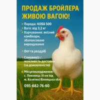 Продам бройлерів живою вагою