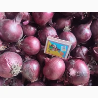 Марс цибуля лук