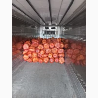Продам тыкву Отгрузка с 1.09.2026