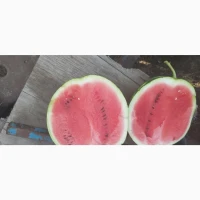 Продам кавун