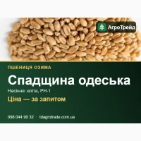 Насіння пшениці Спадщина одеська (СГІ, Одеса) - озима, еліта, РН-1