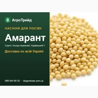Продам насіння амаранту - Ультра-червоний, Харківський 1