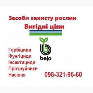 РАСПРОДАЖА остатков семян овощей Bejo (Голландия), Vilmorin (Франция) по хорошим ценам