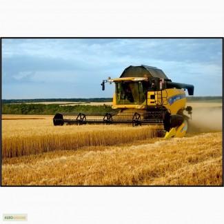 Услуги комбайна Днепропетровск, услуги уборки, аренда комбайнов, заказать комбайн