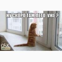 Срочный ремонт окон, дверей, ролет Киев, Харьковский, Позняки, Осокорки, без выходных