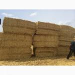 Измельченная солома высшего качества