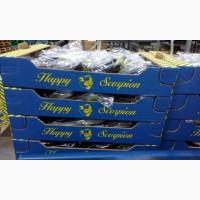 Продаем баклажаны из Испании