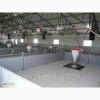 Оборудование для свиноводства