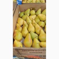 Продам грушу