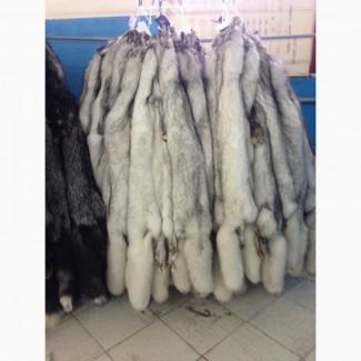 Шкуры песца вуалевого