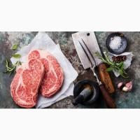 Продажа Охлажденного и Замороженного Мяса (Свинина, Говядина)