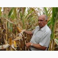 Cівалка для технології No-Till Нотилл Semeato. No-Till без помилок