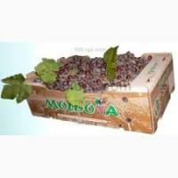 Тара под виноград на 10 кг