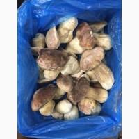 Замороженный белый гриб, целый, 7-12 см