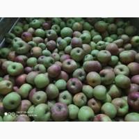 Яблоки Декост