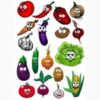 Продам капусту квашенную