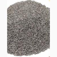 Насіння цибулі (чорнушка). Врожай 2020. Семена Лука, Семена чернушки