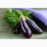 Продаж баклажанів