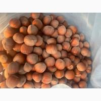 Продам фундук нового урожая
