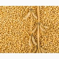 Купуємо сою ф2