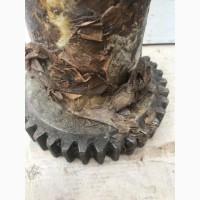 Поршень Д67.08.41.00 дизеля К6S310DR в Львов, Винница, Ужгород, Хмельницкий, Киев, Днепр, Сумы