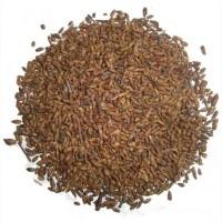 Куплю соснову та березову бруньки