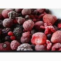 IQF заморозка