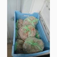 Продам М’ясо-косний залишок курячий